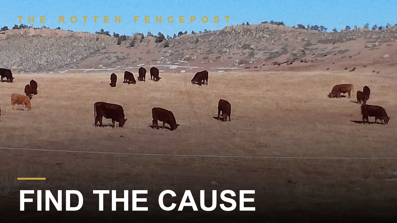 Find the Cause, Not the Symptoms